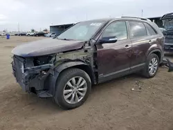 KIA Vehiculos salvage en venta: 2011 KIA Sorento Base