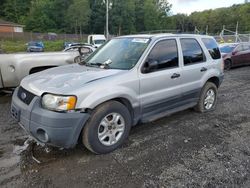 Ford Vehiculos salvage en venta: 2003 Ford Escape XLT