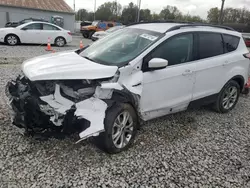 Salvage cars for sale at Columbus, OH auction: 2018 Ford Escape SEL