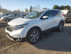 2019 Honda CR-V EX en venta en Bowmanville, ON