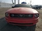 2006 Ford Mustang