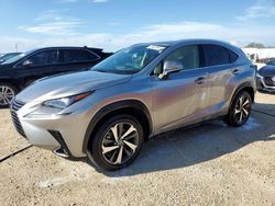 Lexus Vehiculos salvage en venta: 2021 Lexus NX 300 Base