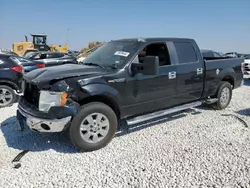 Ford salvage cars for sale: 2010 Ford F150 Supercrew