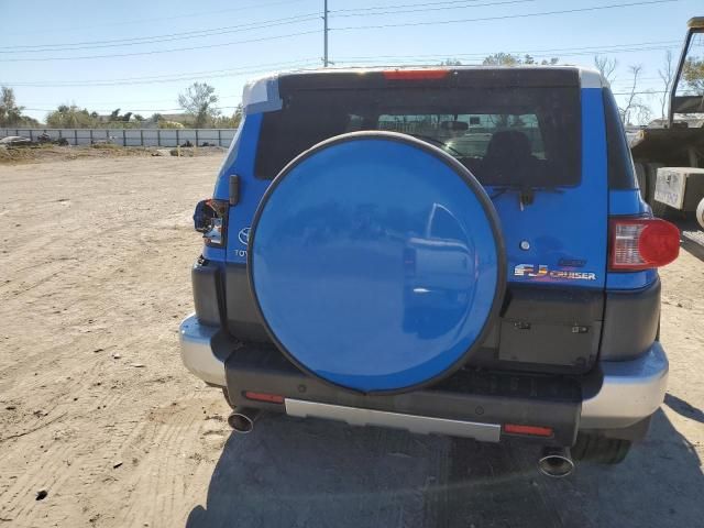 2007 Toyota FJ Cruiser