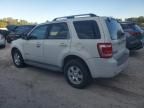 2009 Ford Escape Hybrid