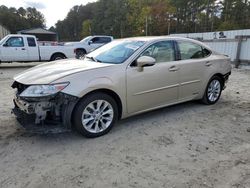 Salvage cars for sale at Seaford, DE auction: 2015 Lexus ES 300H