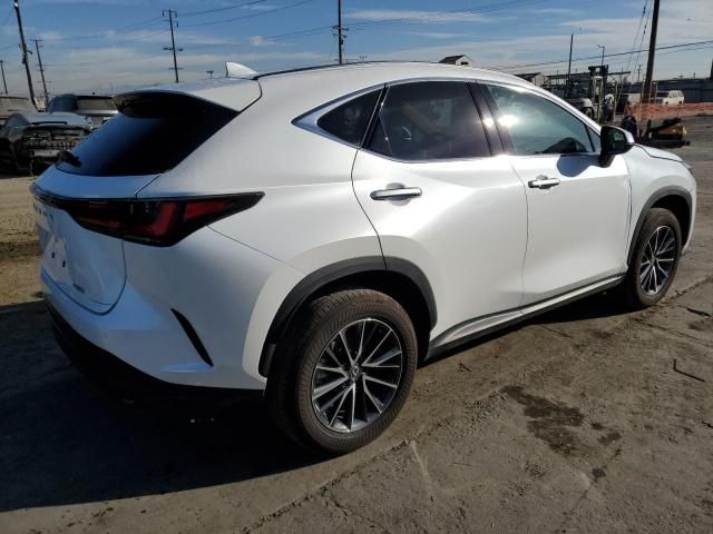 2024 Lexus NX 250 Premium