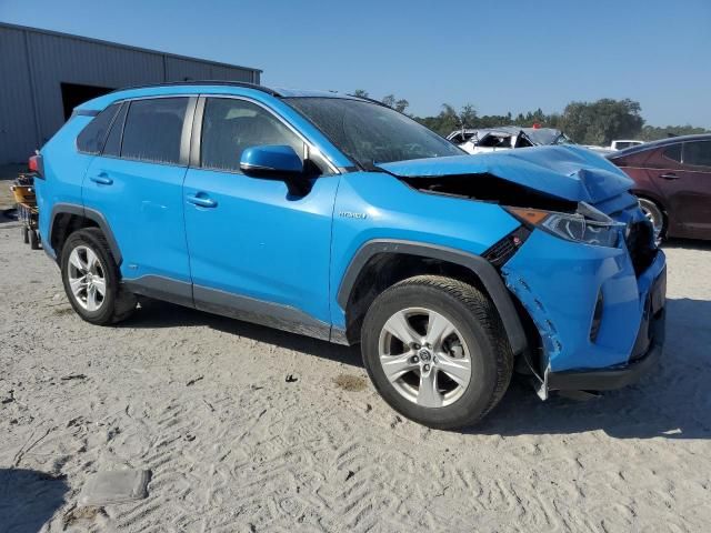 2019 Toyota Rav4 XLE