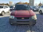 2004 Ford Escape XLT