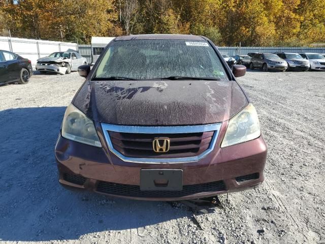 2009 Honda Odyssey EXL