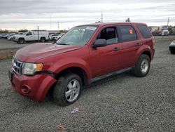 Ford salvage cars for sale: 2012 Ford Escape XLS