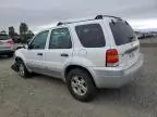 2007 Ford Escape XLT