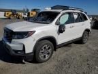 2023 Honda Passport Trail Sport