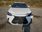 2022 Lexus NX 350