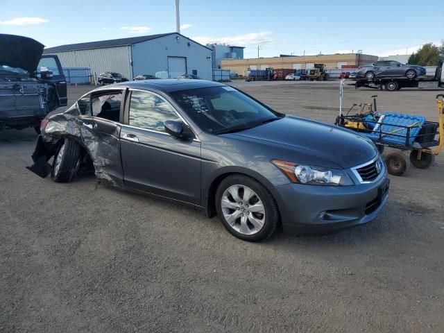 2010 Honda Accord EXL