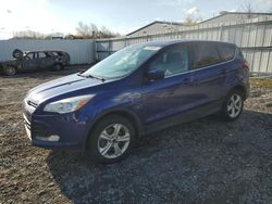 Ford Vehiculos salvage en venta: 2015 Ford Escape SE