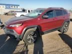 2014 Jeep Cherokee Trailhawk