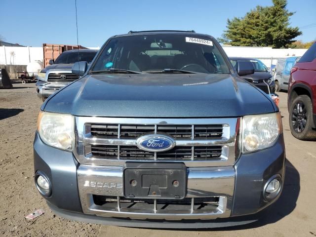 2011 Ford Escape Limited