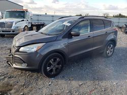 Ford Escape salvage cars for sale: 2014 Ford Escape SE