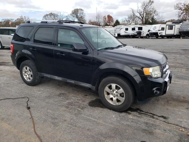 2011 Ford Escape Limited