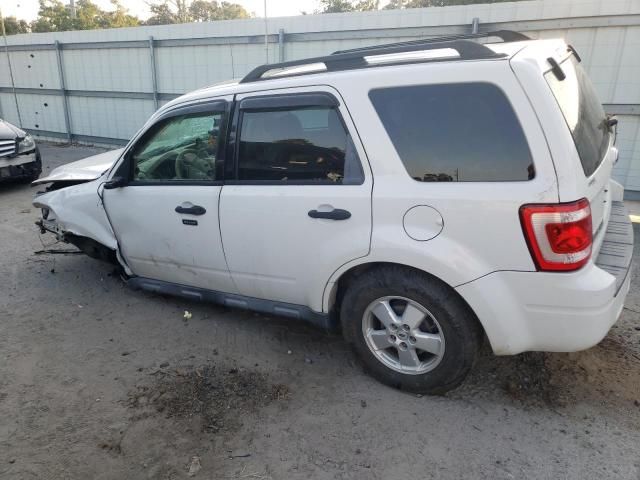 2011 Ford Escape XLT