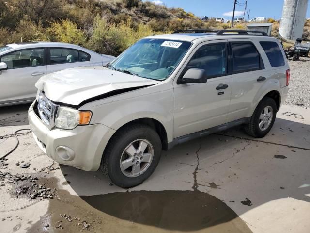 2009 Ford Escape XLT