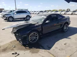 Salvage cars for sale at Grand Prairie, TX auction: 1996 Ford Mustang Cobra