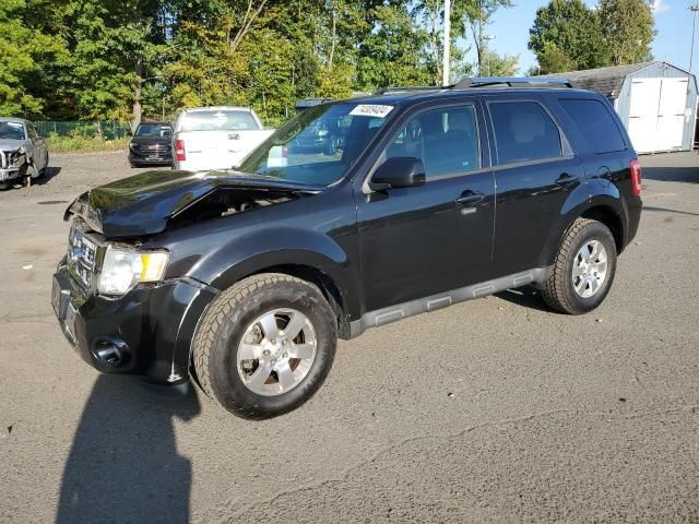 2011 Ford Escape Limited