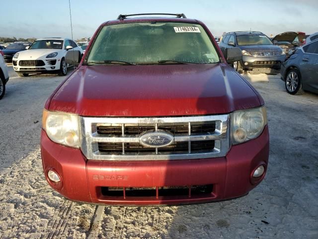 2008 Ford Escape XLT