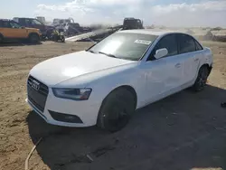 2013 Audi A4 Premium Plus en venta en Brighton, CO