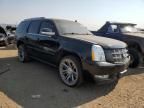 2014 Cadillac Escalade Premium