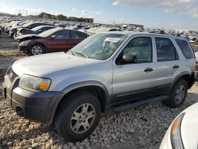 2005 Ford Escape XLT