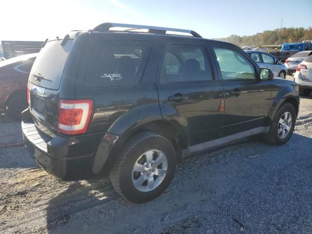 2010 Ford Escape Limited