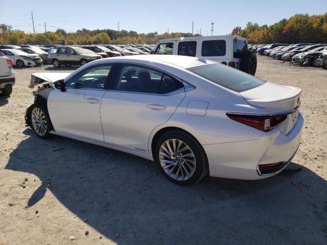 2020 Lexus ES 300H Luxury