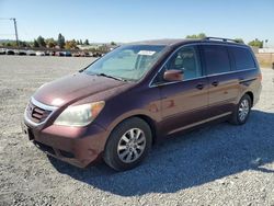 Honda Vehiculos salvage en venta: 2010 Honda Odyssey EXL