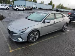 Hyundai Elantra salvage cars for sale: 2023 Hyundai Elantra Limited