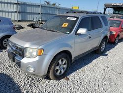 Salvage cars for sale at Cahokia Heights, IL auction: 2010 Ford Escape Limited