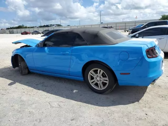 2014 Ford Mustang