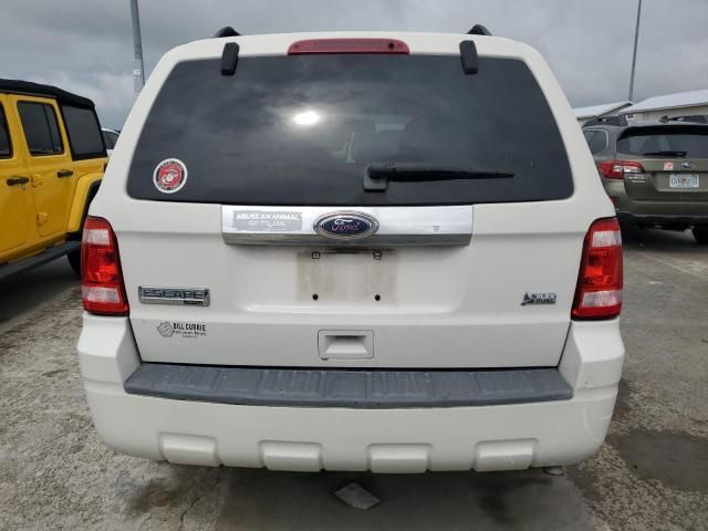 2010 Ford Escape Limited