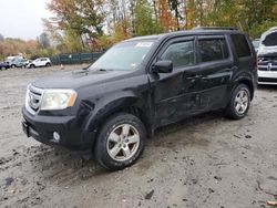 Honda Pilot salvage cars for sale: 2011 Honda Pilot EX