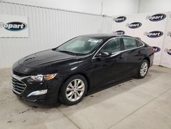 Salvage cars for sale from Copart Concord, NC: 2019 Chevrolet Malibu LT