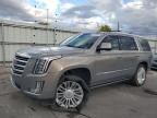 2017 Cadillac Escalade Platinum