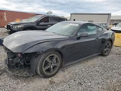 Ford salvage cars for sale: 2024 Ford Mustang