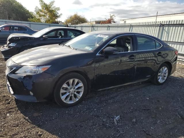 2015 Lexus ES 300H