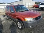 2006 Ford Escape XLT