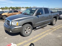 Salvage cars for sale at Pennsburg, PA auction: 2007 Dodge Dakota Quad SLT