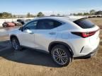 2023 Lexus NX 350H