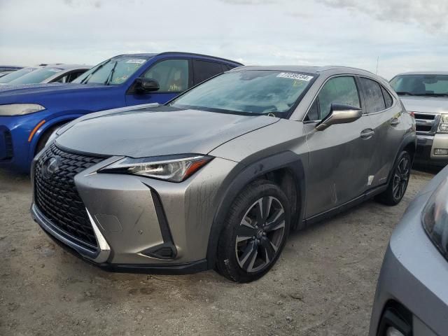 2021 Lexus UX 250H