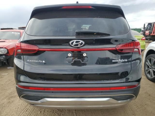 2023 Hyundai Santa FE SEL Premium