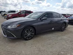 Carros dañados por inundaciones a la venta en subasta: 2023 Lexus ES 350 Base